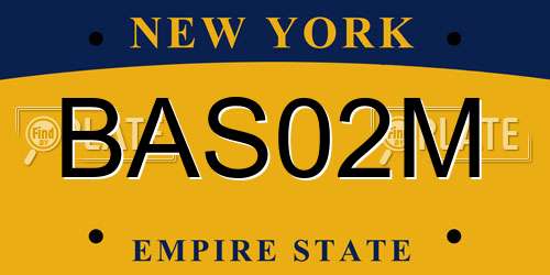 BAS02M New York License Plate