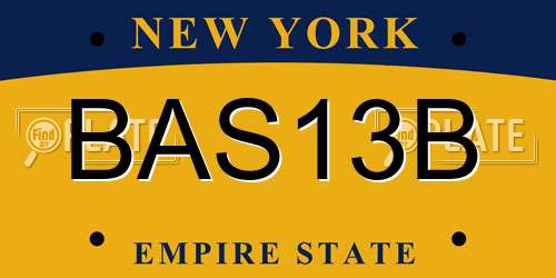 BAS13B New York License Plate