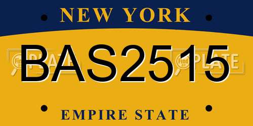 BAS2515 New York License Plate