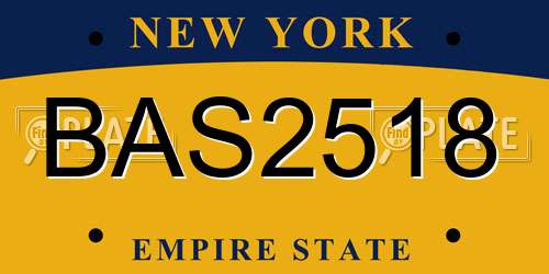 BAS2518 New York License Plate