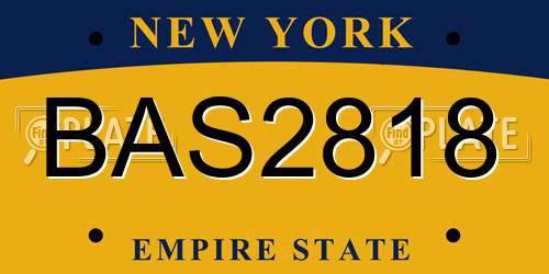 BAS2818 New York License Plate