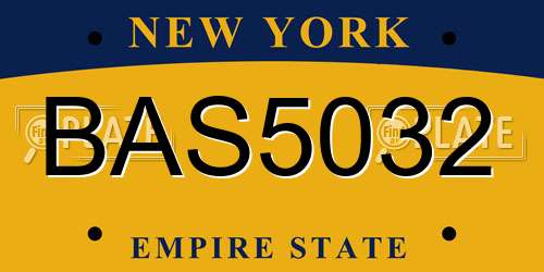BAS5032 New York License Plate