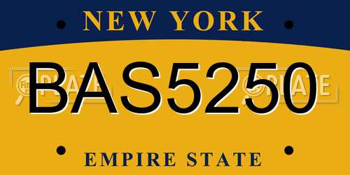 BAS5250 New York License Plate