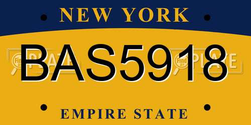 BAS5918 New York License Plate
