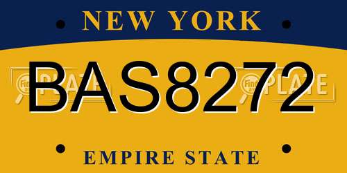 BAS8272 New York License Plate