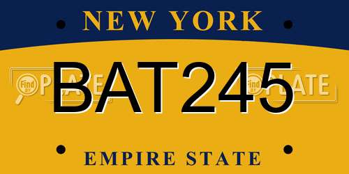 BAT245 New York License Plate