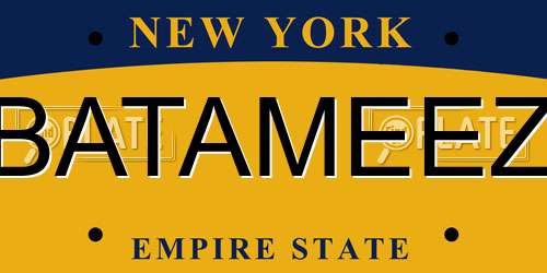 BATAMEEZ New York License Plate