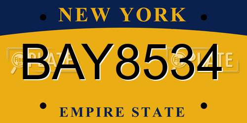 BAY8534 New York License Plate