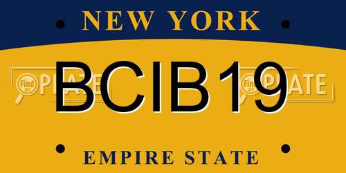 BCIB19 New York License Plate