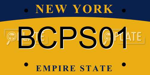 BCPS01 New York License Plate
