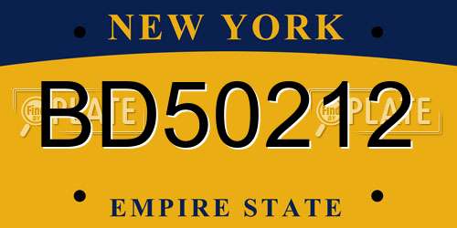 BD50212 New York License Plate