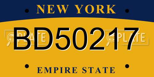 BD50217 New York License Plate