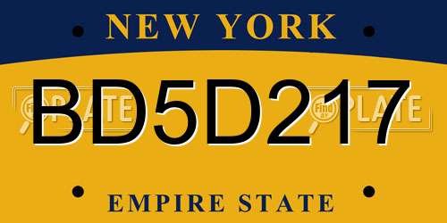 BD5D217 New York License Plate