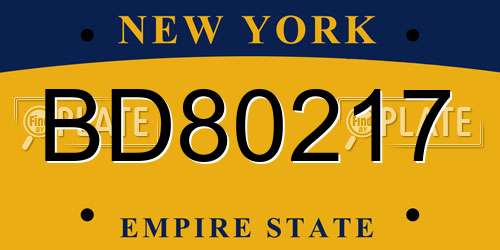 BD80217 New York License Plate