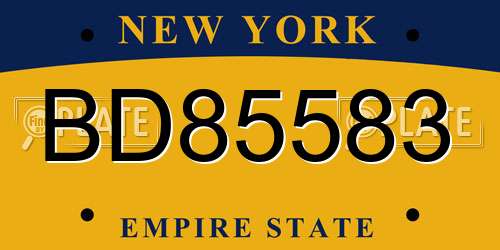 BD85583 New York License Plate