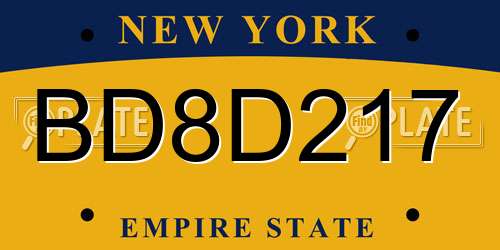 BD8D217 New York License Plate