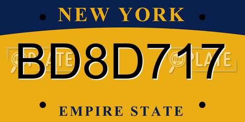 BD8D717 New York License Plate