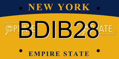 BDIB28 New York License Plate