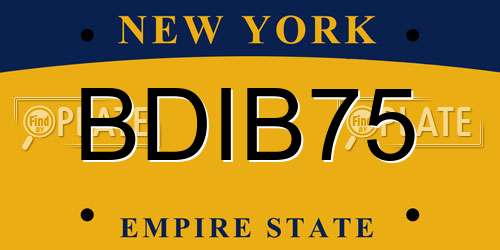 BDIB75 New York License Plate