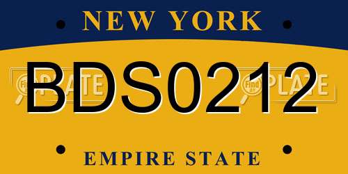 BDS0212 New York License Plate
