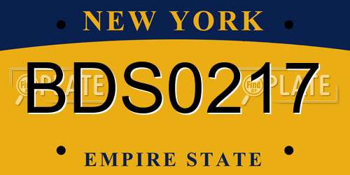 BDS0217 New York License Plate