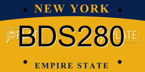 BDS280 New York License Plate