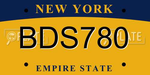 BDS780 New York License Plate