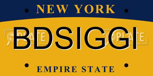 BDSIGGI New York License Plate