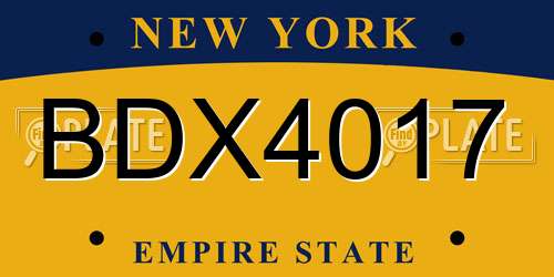 BDX4017 New York License Plate