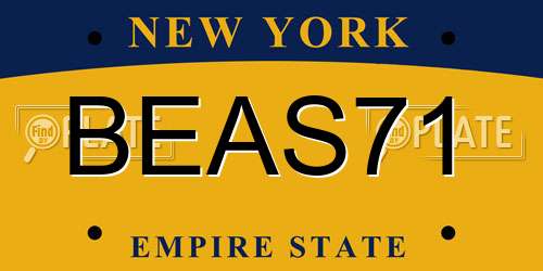 BEAS71 New York License Plate