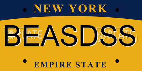 BEASDSS New York License Plate