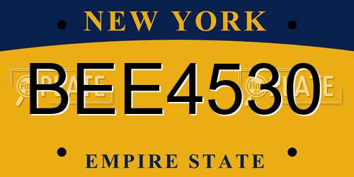 BEE4530 New York License Plate