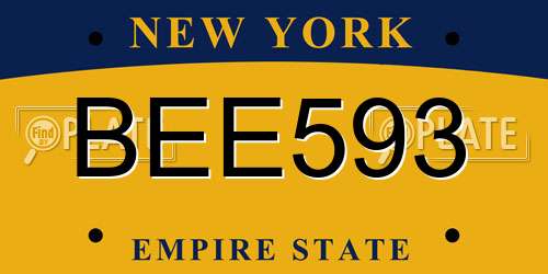 BEE593 New York License Plate