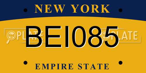 BEI085 New York License Plate