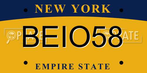 BEIO58 New York License Plate