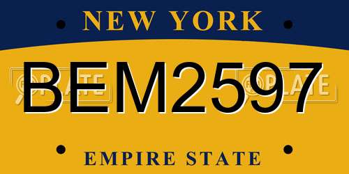 BEM2597 New York License Plate