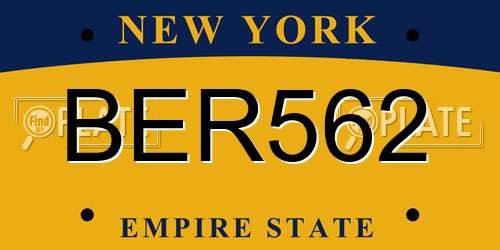 BER562 New York License Plate