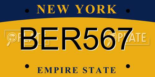 BER567 New York License Plate
