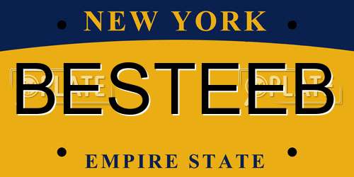 BESTEEB New York License Plate