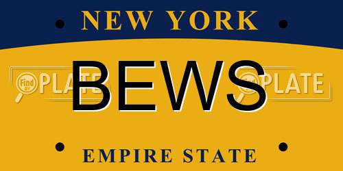BEWS New York License Plate