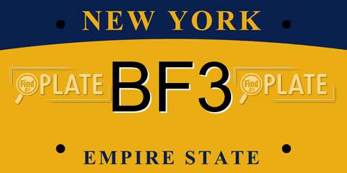 BF3 New York License Plate