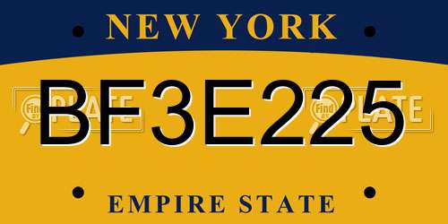 BF3E225 New York License Plate