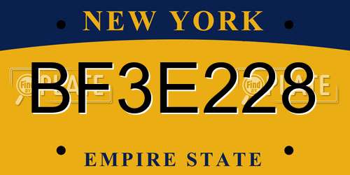 BF3E228 New York License Plate