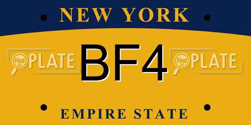BF4 New York License Plate