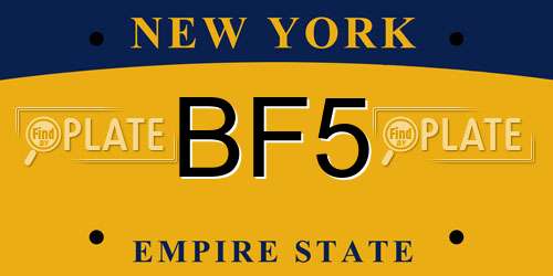 BF5 New York License Plate