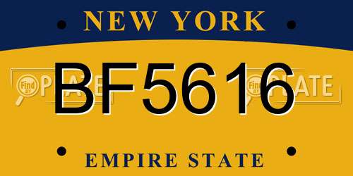 BF5616 New York License Plate