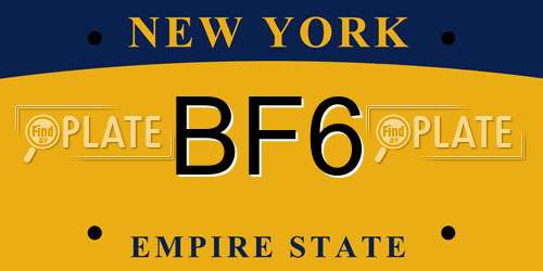 BF6 New York License Plate