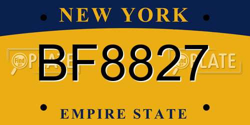 BF8827 New York License Plate