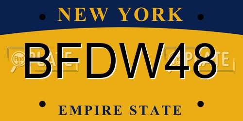 BFDW48 New York License Plate