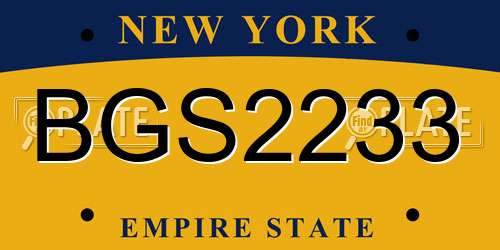 BGS2233 New York License Plate
